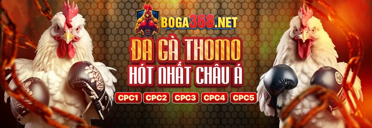 Cá cược trực tiếp các trận đấu tại MU88